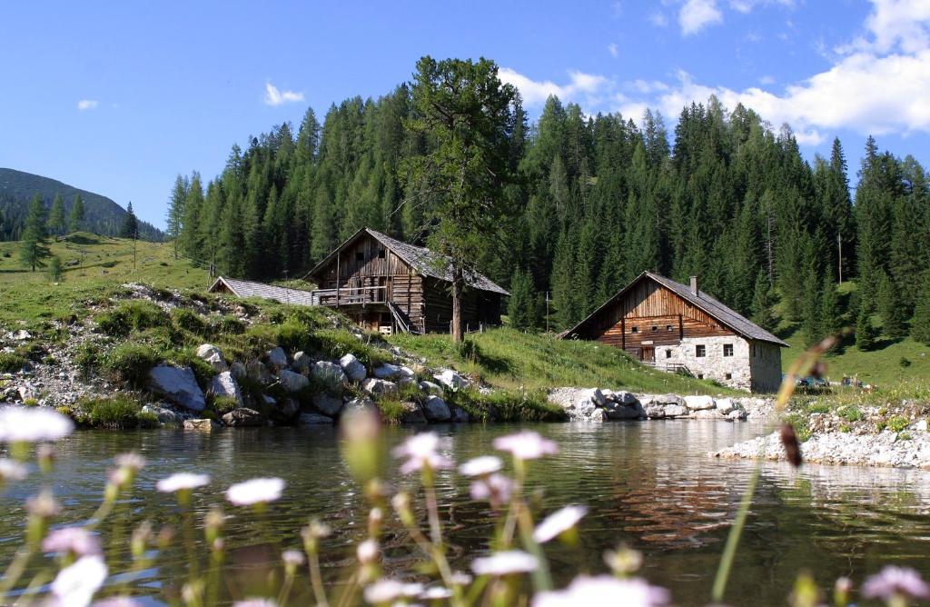 Hotel Alpin Life Lürzerhof